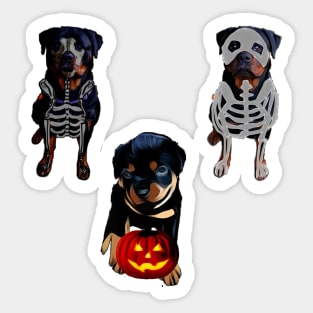 Rottweiler Halloween sticker pack Sticker